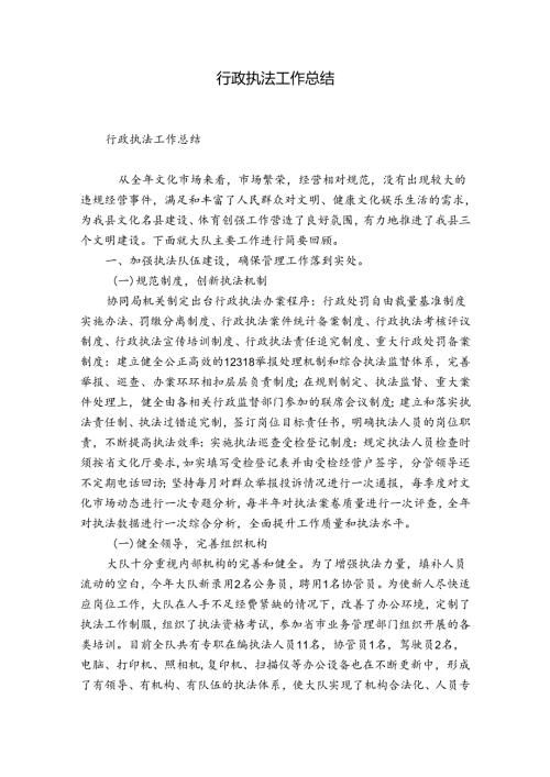 行政执法工作总结.docx