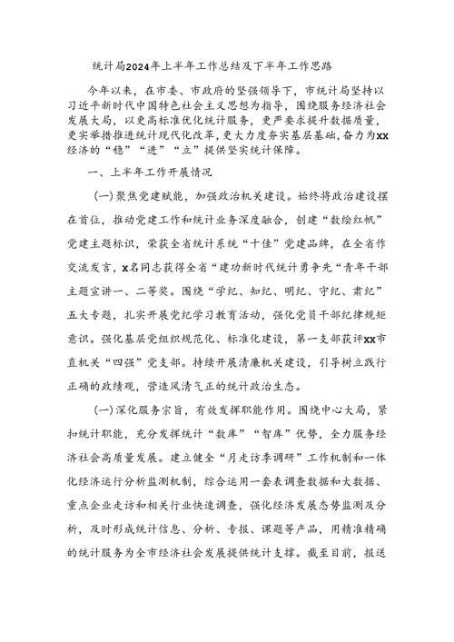 统计局2024年上半年工作总结及下半年工作思路.docx