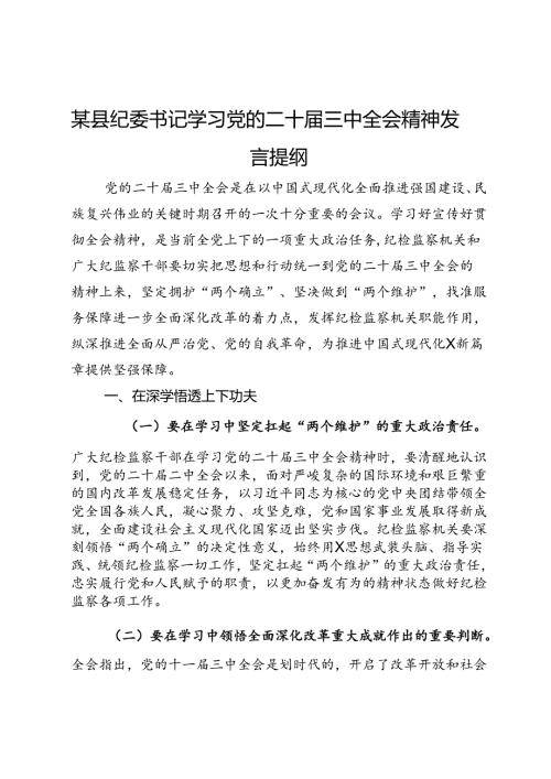 某县纪委书记学习党的二十三中全会精神发言提纲(2).docx