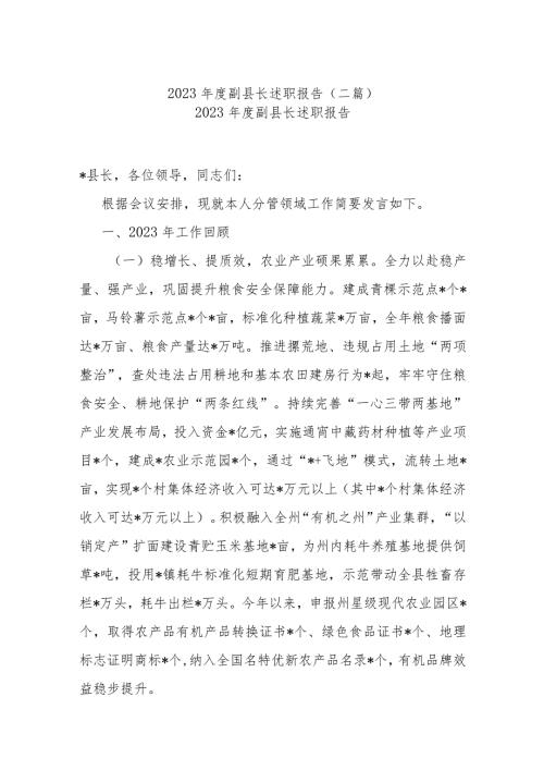 2023副县长述职报告(二篇).docx