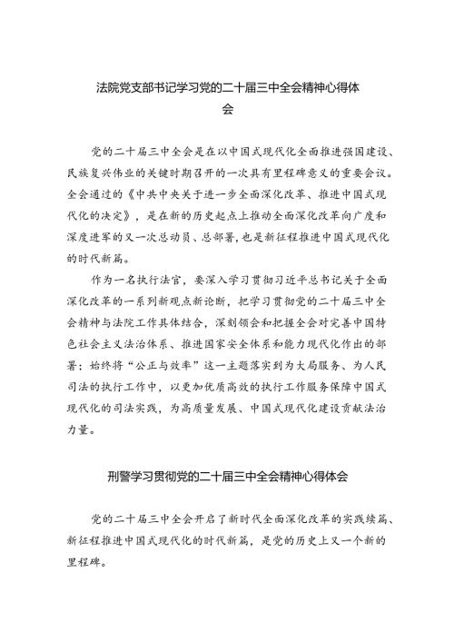 法院党支部书记学习党的二十三中全会精神心得体会8篇（精选版）.docx