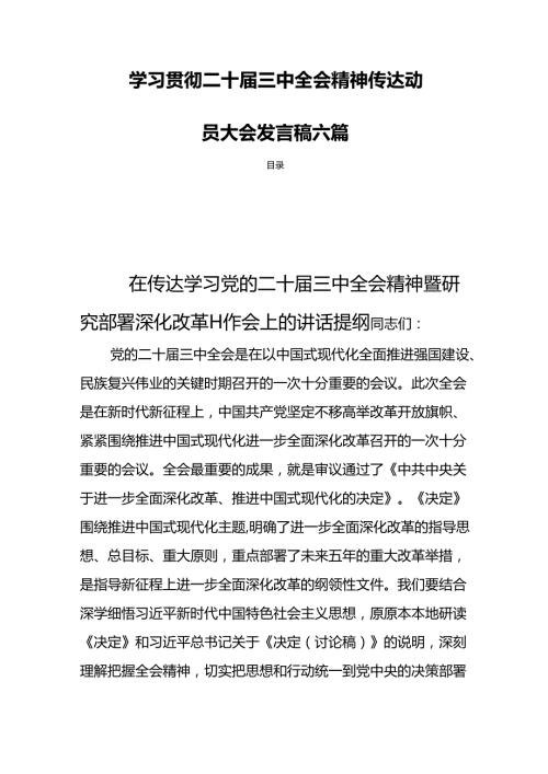 学习贯彻二十三中全会精神传达动员大会发言稿六篇.docx