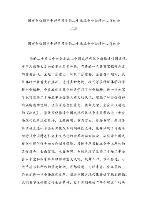 国有企业领导干部学习党的二十三中全会精神心得体会二篇.docx