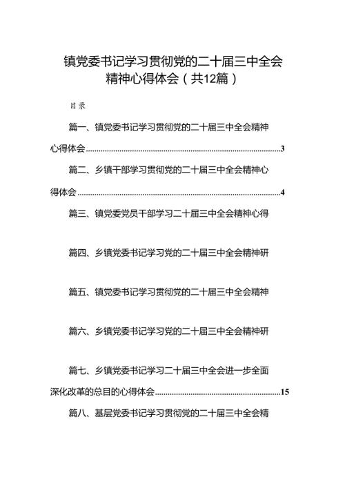 镇党委书记学习贯彻党的二十三中全会精神心得体会(精选12篇合集).docx