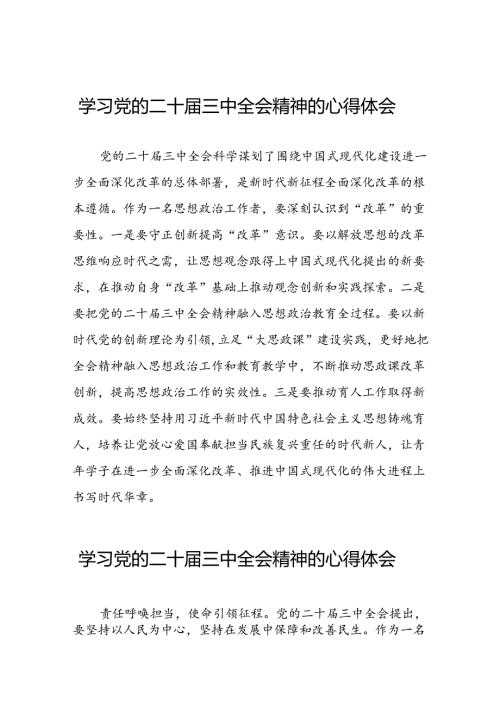 学习二十三中全会心得体会简短发言材料25篇.docx
