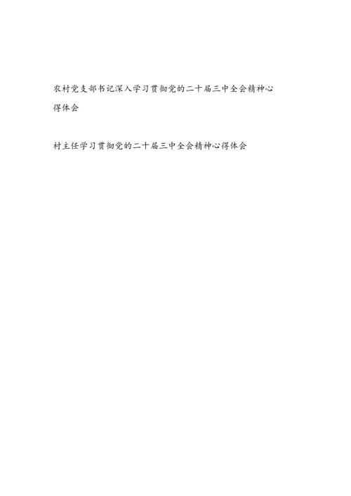 农村党支部书记村主任深入学习贯彻党的二十三中全会精神心得体会研讨发言2篇.docx