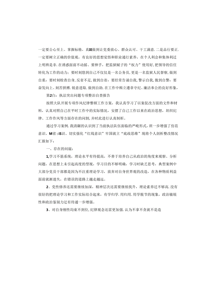 执法突出问题专项整治自查报告.docx_第3页