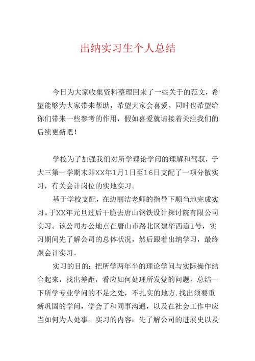 出纳实习生个人总结.docx