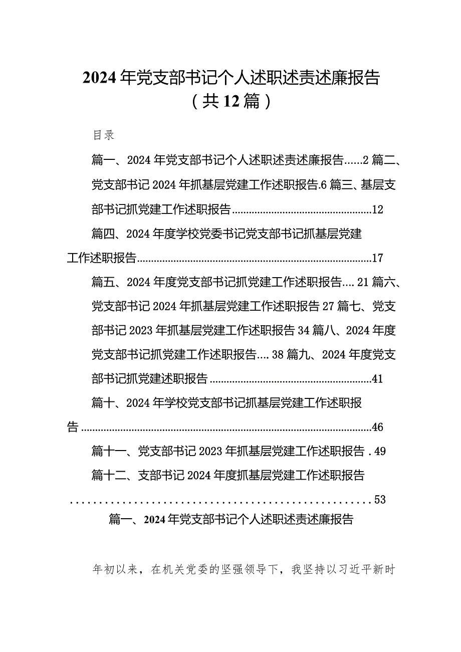 2024年党支部书记个人述职述责述廉报告12篇（详细版）.docx_第1页