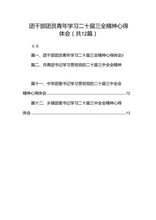 团干部团员青年学习二十三全精神心得体会范文12篇（最新版）.docx