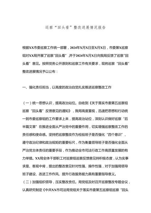 巡察“回头看”整改进展情况报告.docx