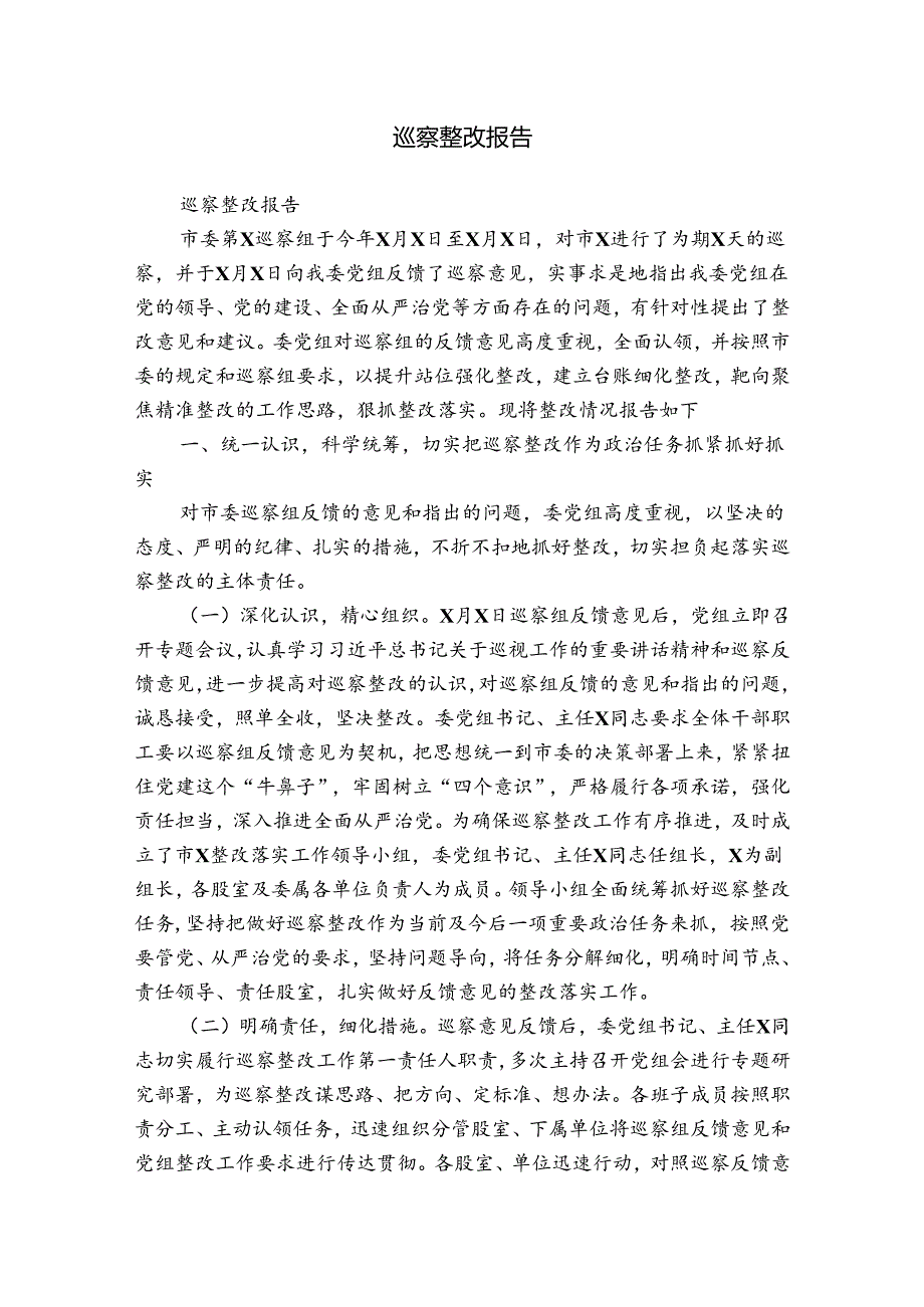 巡察整改报告.docx_第1页