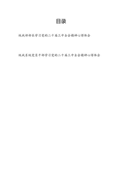 统战部部长统战系统党员干部学习党的二十三中全会精神研讨发言心得体会2篇.docx
