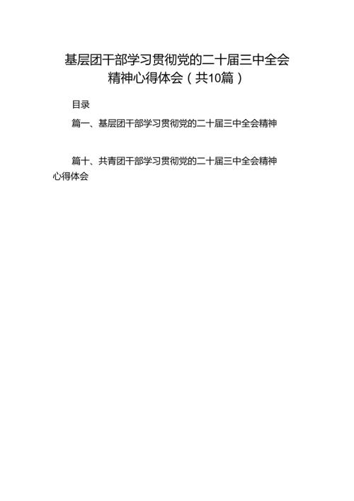 基层团干部学习贯彻党的二十三中全会精神心得体会10篇（最新版）.docx