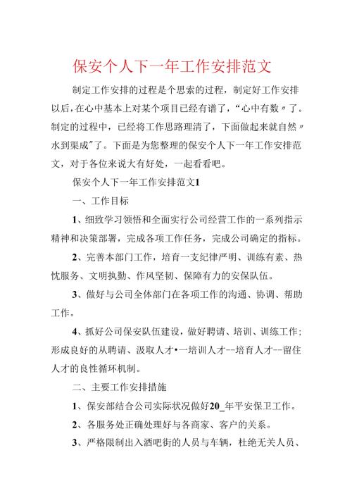 保安个人下一年工作计划范文.docx
