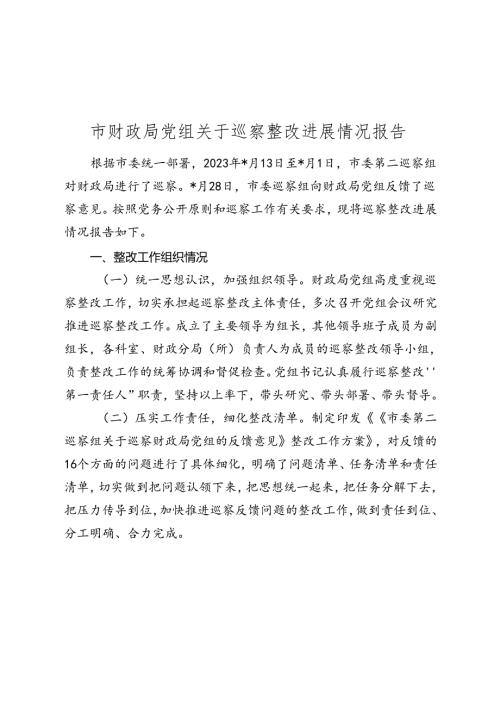 财政系统巡察整改进展情况总结报告.docx