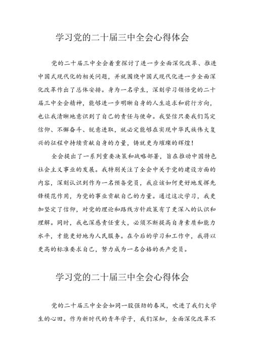 学习2024年党的二十三中全会心得体会 （10份）65.docx