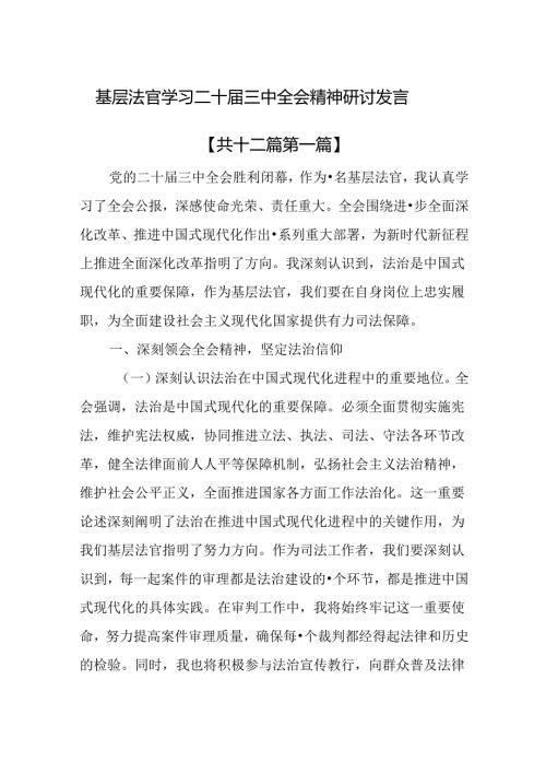 （12篇）基层法官学习二十三中全会精神研讨发言.docx