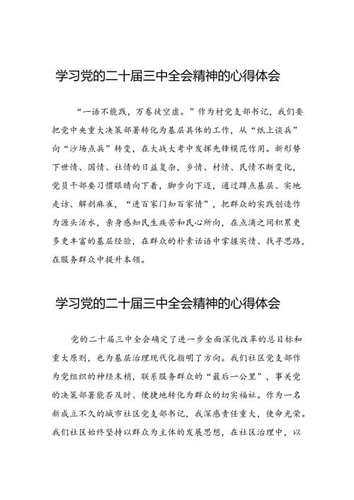 村支部书记学习党的二十三中全会精神的心得体会三十六篇.docx