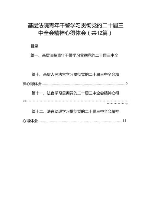 基层法院青年干警学习贯彻党的二十三中全会精神心得体会12篇供参考.docx