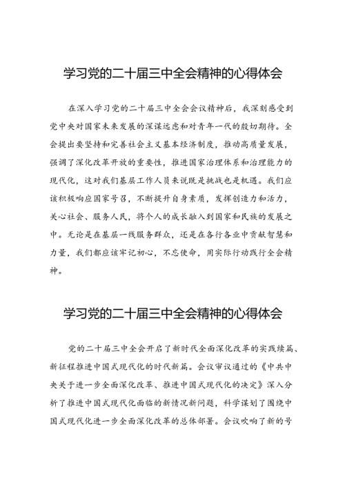 学习二十三中全会心得体会简短发言25篇.docx