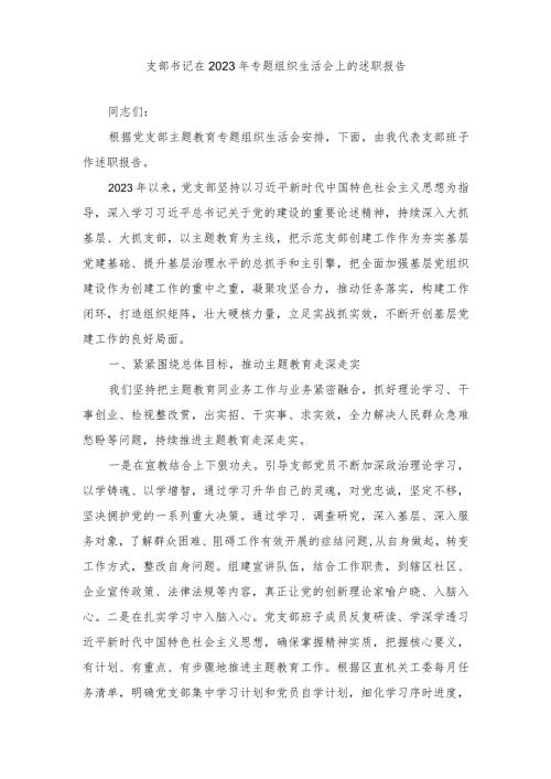 2024年支部书记在专题组织生活会上的述职报告.docx