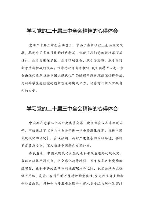 党员关于学习二十三中全会精神心得感悟汇编三十五篇.docx