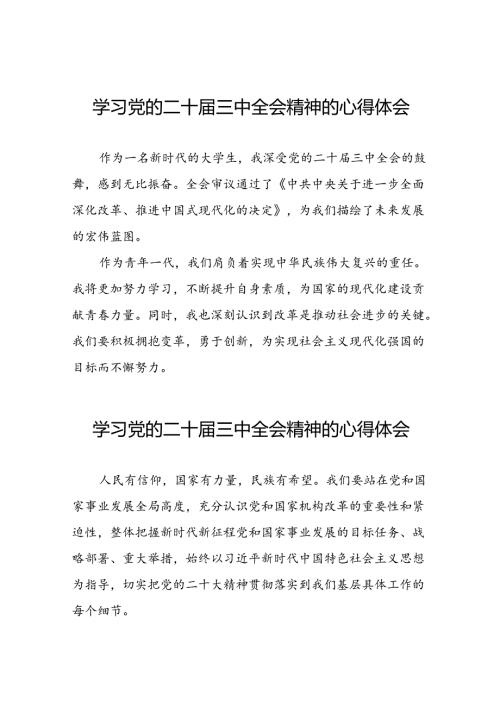 学习贯彻2024年二十三中全会精神心得感悟合集50篇.docx