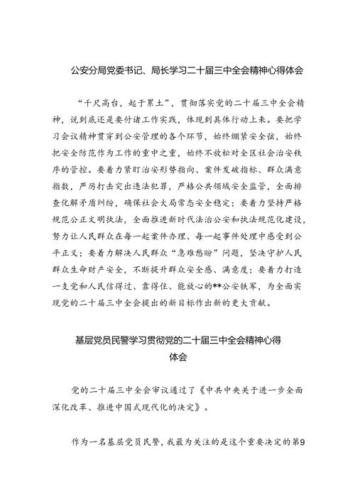公安分局党委书记、局长学习二十三中全会精神心得体会（共8篇）.docx