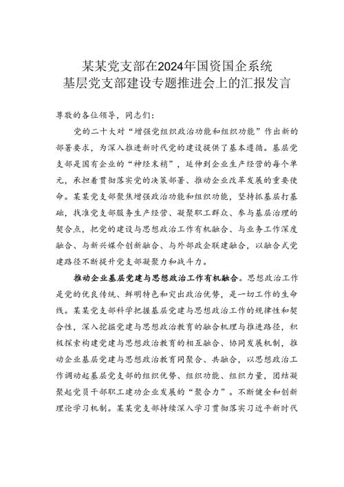 某某党支部在2024年国资国企系统基层党支部建设专题推进会上的汇报发言.docx