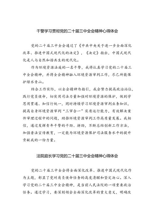 干警学习贯彻党的二十三中全会精神心得体会（共8篇）.docx
