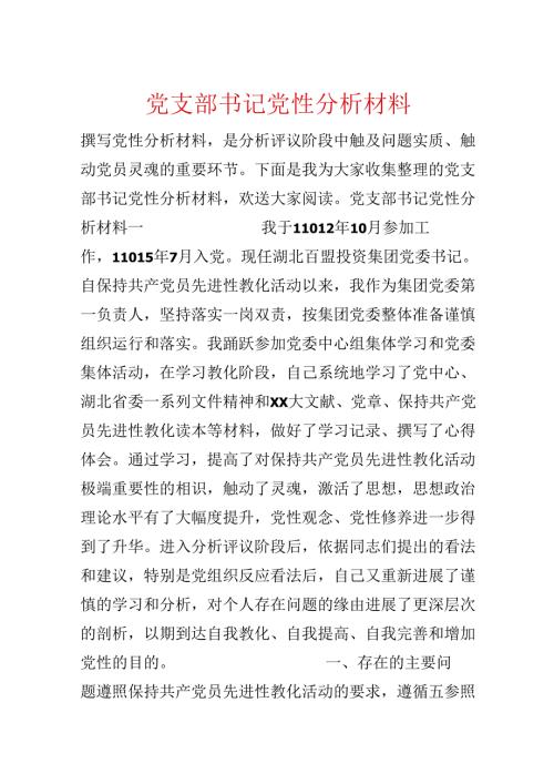 党支部书记党性分析材料.docx