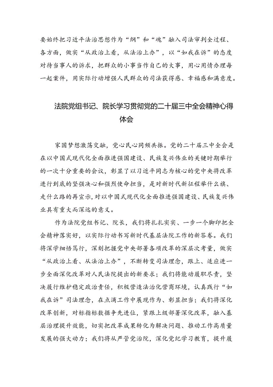 基层法庭庭长学习贯彻党的二十三中全会精神心得体会8篇（最新版）.docx_第2页