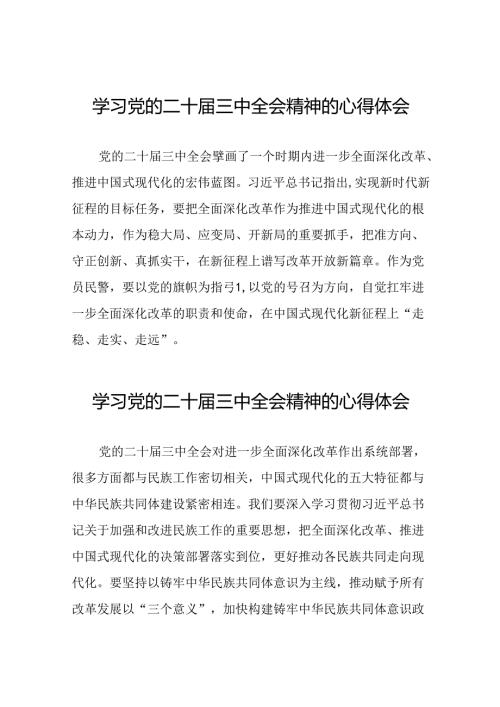 党员干部学习贯彻党的二十三中全会精神心得感悟模板四十四篇.docx