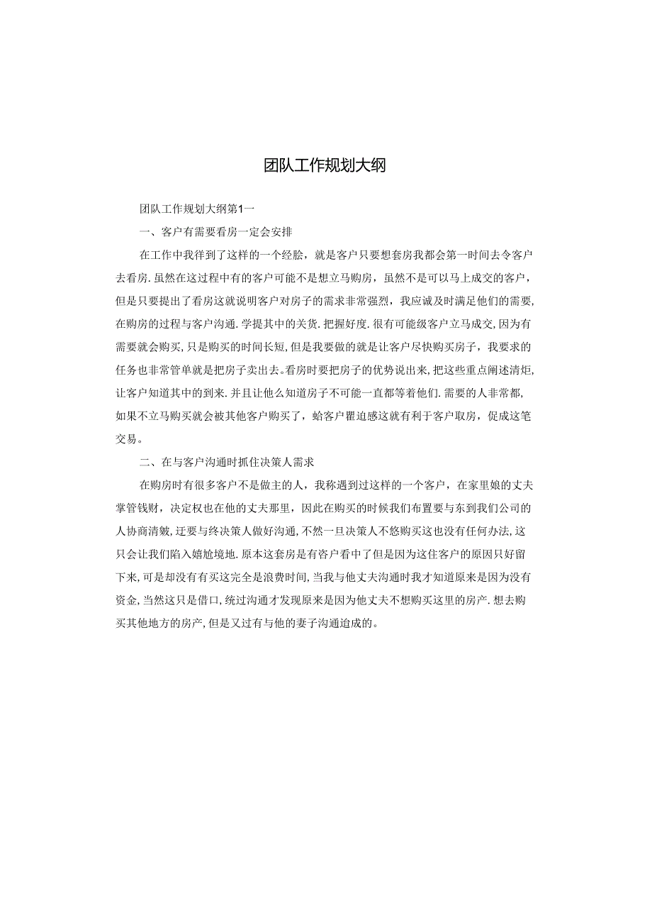 团队工作规划大纲.docx_第1页
