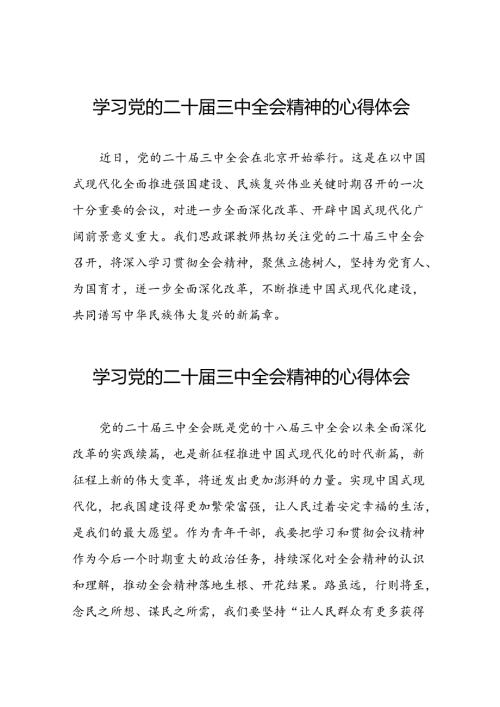 学习党的二十三中全会精神的心得感悟简短发言四十篇.docx