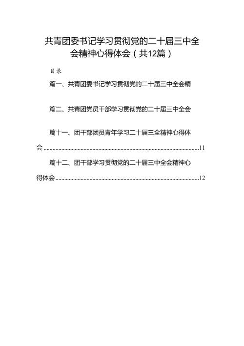 共青团委书记学习贯彻党的二十三中全会精神心得体会12篇（精选）.docx