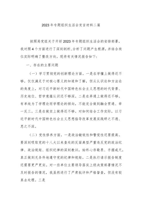 2023年专题组织生活会发言材料二篇.docx
