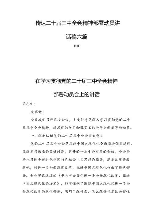 传达二十三中全会精神部署动员讲话稿六篇.docx