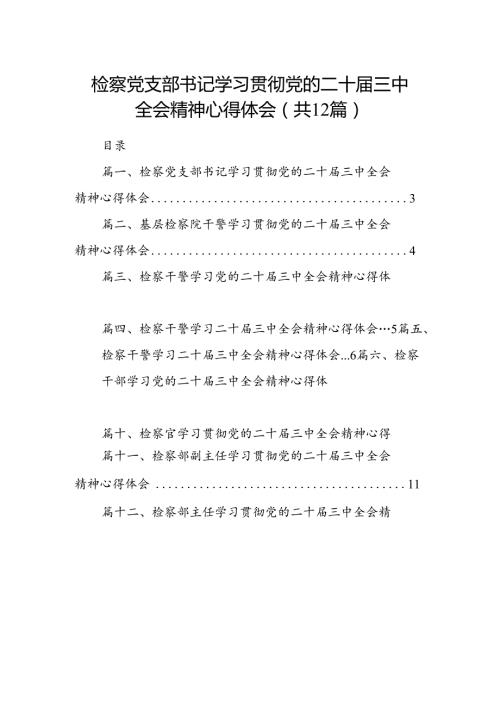 检察党支部书记学习贯彻党的二十三中全会精神心得体会12篇（详细版）.docx