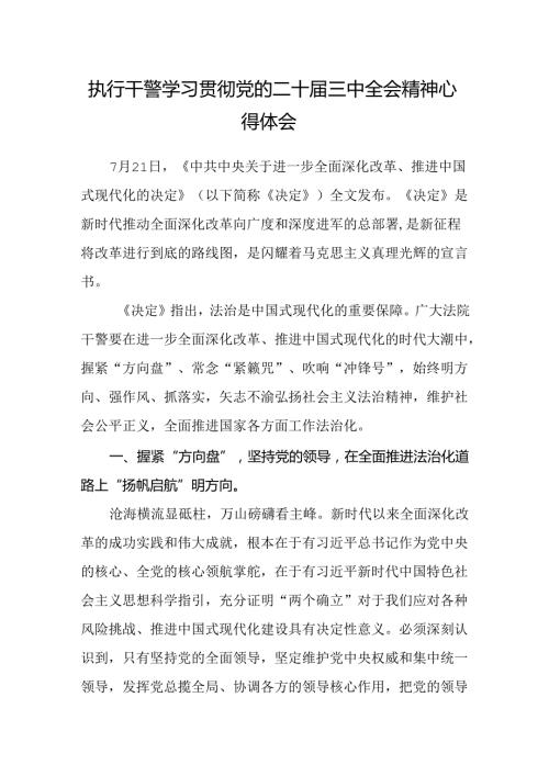 执行干警学习贯彻党的二十三中全会精神心得体会(1).docx