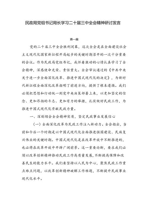 民政局党组书记局长学习二十三中全会精神研讨发言4篇.docx