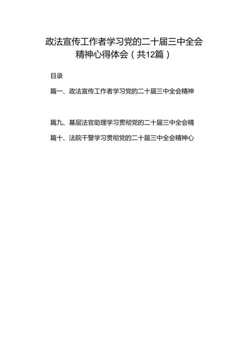 政法宣传工作者学习党的二十三中全会精神心得体会12篇（最新版）.docx