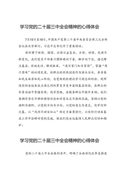 学习贯彻二十三中全会精神的心得体会发言稿三十篇.docx