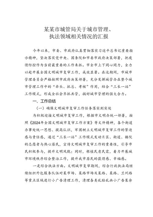 某某市城管局关于城市管理、执法领域相关情况的汇报.docx
