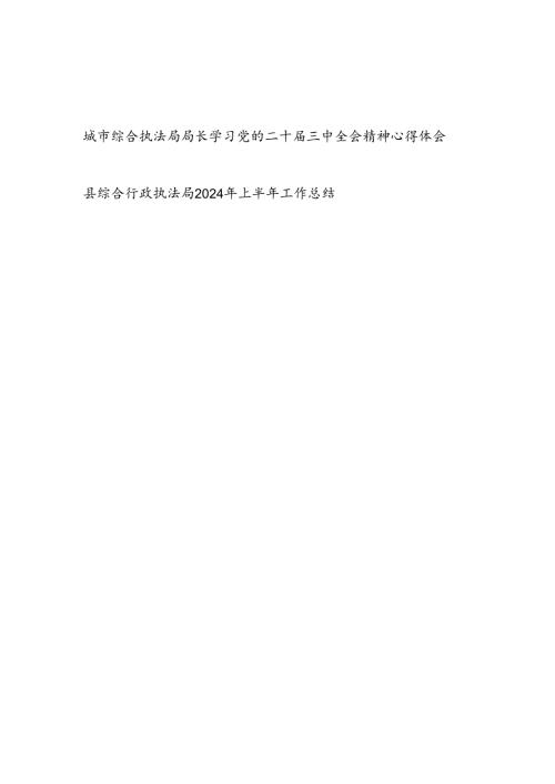 城市综合执法局局长学习党的二十三中全会精神研讨发言心得体会和县综合行政执法局2024年上半年工作总结.docx