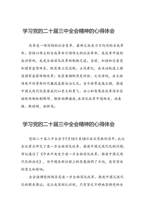 党员关于学习二十三中全会精神心得感悟范例三十六篇.docx