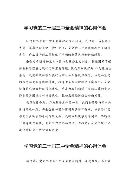 学习贯彻党的二十三中全会精神心得体会简短发言材料25篇.docx