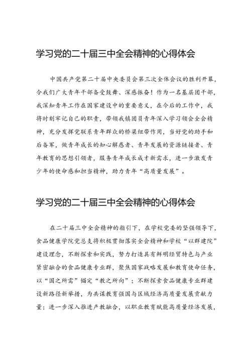 学习贯彻2024年二十三中全会精神心得体会模板50篇.docx