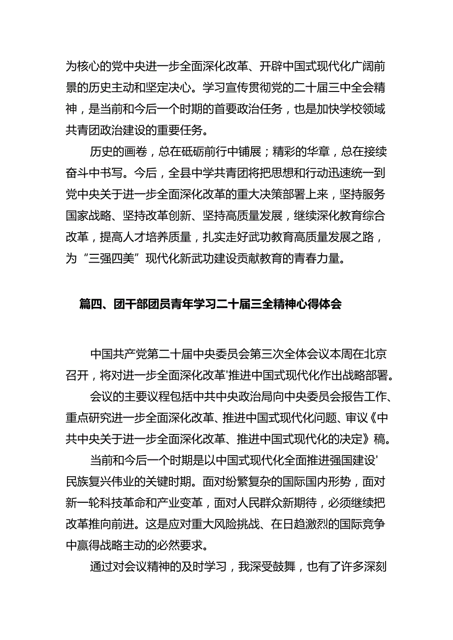 基层乡镇团委书记学习贯彻党的二十三中全会精神心得体会10篇（最新版）.docx_第3页